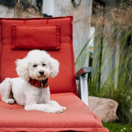 Апартаменты Kranich - Moderne Direkt Am Schloss Ranzow!